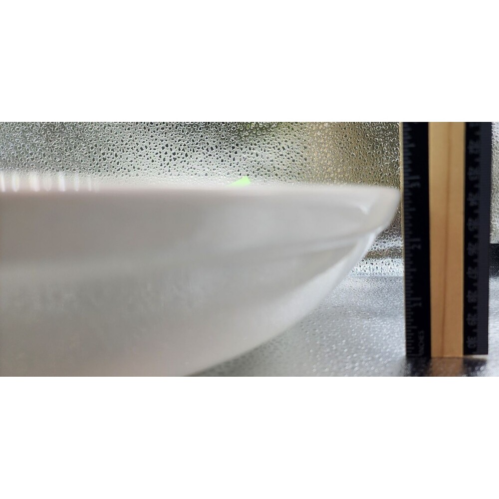 Williams Sonoma Large Olives Pasta Serving Bowl Approx 12.75" (READ!!!) - Picture 16 of 16